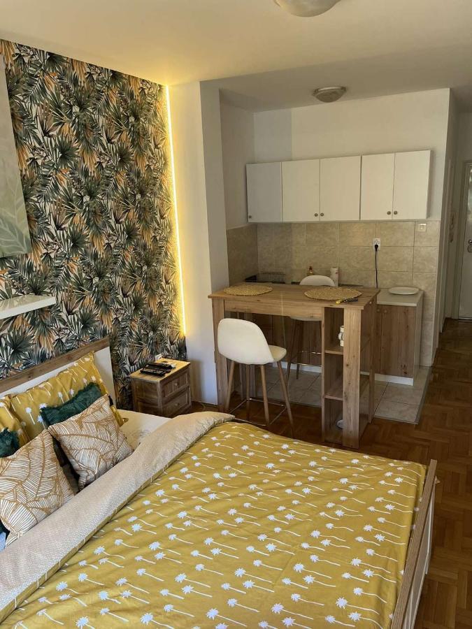 Vert Cozy Apartment Free Parking Novi Sad Ngoại thất bức ảnh